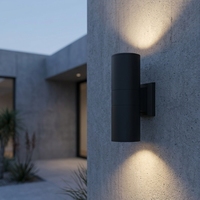 Lámpara de Pared LED Exterior Negra, COB, IP65, de Aluminio Fundido, para Jardín o Villa
