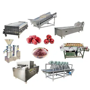 Máquina de fabricación de jarabe de fecha, línea de producción de pasta de polvo de fechas, máquina de procesamiento de frutas