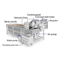 Automatische fruit- en groentenreinigingsmachine met nanobellen en motor - milieuvriendelijk merk SK