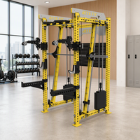 Machine Smith multifonctionnelle, rack de musculation, construction en acier inoxydable et acier au carbone, entraînement complet du corps, entraînement de force à domicile, REYK 75 kg