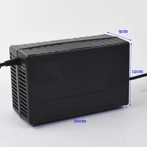 Output 43.8 V 10A Input 36 V Lithium Battery Charger