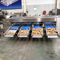 8-10t/u Kleine Kiwi-Komkommer Sorteermachine Automatische Abrikoos-Granaatappel Sorteermachine Pecannoten Rolgraderingsmachine