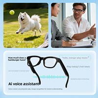 Lunettes Caméra Intelligentes IA 800W HD Pixel Bluetooth pour la Reconnaissance d'Objets, l'Enseignement, la Traduction, l'Enregistrement Vidéo WiFi, Verre UV