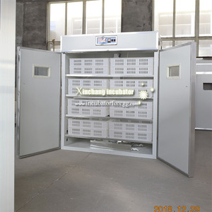 3000 Lồng Ấp Trứng Gà Tốt Nhất Bán Tại Dubai UAE - Product Image 6