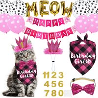 Kit de décoration d'anniversaire pour animaux de compagnie, accessoires de fête pour chat/chien avec couronne, nœud papillon, bannière et ballons, pour petits et grands animaux/