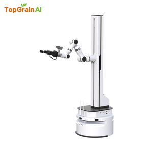 Robot Móvil Autónomo (AMR) con Brazo Robótico Colaborativo de un Solo Brazo para Automatización de Almacenes y Manipulación Logística Industrial - Product Image 1