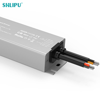 Driver LED Dimmable AC-DC à Sortie Unique 40W IP67 Étanche DALI DT8 pour Éclairage LED
