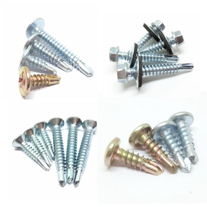 Fabricant professionnel chinois de vis autoperceuses à tête hexagonale, à tête cylindrique, à tête trapézoïdale et à tête fraisée - Product Image 4