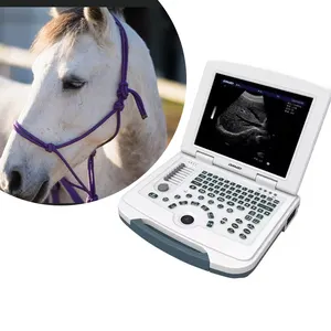 Máquina de ultrasonido de caballo portátil Escáner equino Imagen de alta definición Mare Embarazo Máquina de ultrasonido veterinario