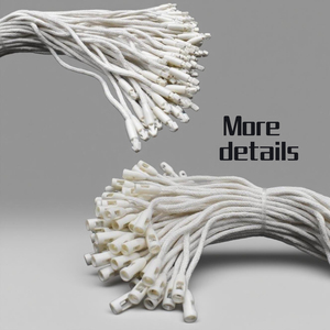 OEM Eco-Friendly Security <strong>Loop</strong> Hang Tag with Cotton Cord Seal Plastic Tag for Clothing Bags Shoes - Product Image 3