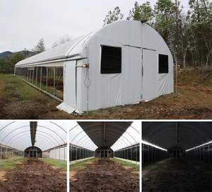 2024 année privation de lumière occultant serre LED élèvent la lampe pour herbe/médical/plantes spéciales serre de chanvre - Product Image 3