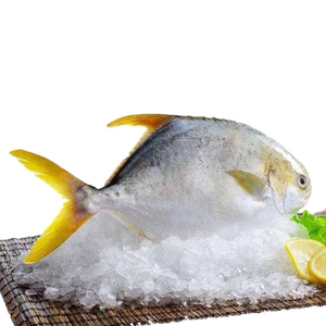 Ikan Frozen IQF emas Pomfret ikan Pompano emas Frozen
