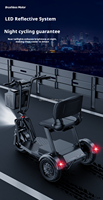 Scooter électrique pliable à 3 roues, 1000W, moteur sans balais, léger, best-seller, pour les trajets quotidiens de courte durée