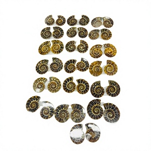 Ammonite Fossile Naturelle de Haute Qualité en Gros, Échantillon Minéral, Tranche Cabochon, Pierre de Bijoux Certifiée Authentique, Personnalisable - Product Image 1