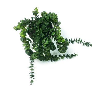 Plante artificielle d'<span class=keywords><strong>eucalyptus</strong></span> hautement réaliste en <span class=keywords><strong>pot</strong></span> en céramique pour la décoration intérieure et extérieure de la maison, des mariages, de Noël et des hôtels - Product Image 3