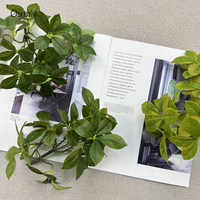 Plante artificielle en pot, mini bonsaï, Polyscias Ficus, fausse verdure, 23 cm, décoration de table, maison, bureau
