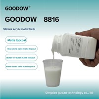 Enduit de finition mat silicone-acrylique 8816, résistant aux intempéries pour peinture sur pierre, finition mate, qualité OEM