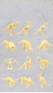 Khoa Học Gốc Hoạt Động Dino Đào Kit Khủng Long Đồ Chơi Cho Trẻ Em Đào 12 Mù Hộp Đồ Chơi Khám Phá Bất Ngờ Khủng Long - Product Image 5