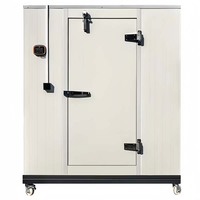 10% de descuento Walk-In Freezer Room Almacenamiento de carne de pollo Cámara frigorífica Enfriamiento rápido Cámara frigorífica Walk-in