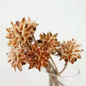 Crisantemo secco duraturo della piuma dei fiori all'ingrosso artificiali per la decorazione domestica