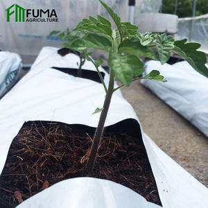 Mqfm — serre de culture hydroponique intérieure, à bas prix, tour verticale intelligente pour jardin, tomate, fraise, pour vente - Product Image 5