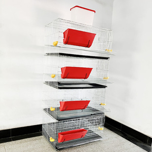 Cages à Cailles Commerciales à Prix Abordable pour l'Élevage de Cailles avec Système d'Abreuvement Automatique - Product Image 6