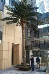 Grande palma finta sala interna piscina all'aperto decorazione ornamentale costiera plastica grande pianta artificiale palma da cocco - Product Image 2