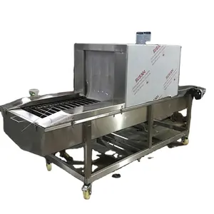 Tunnel disinfection machine packing box carton conveyor belt sterilization machine for for cold room and food plant