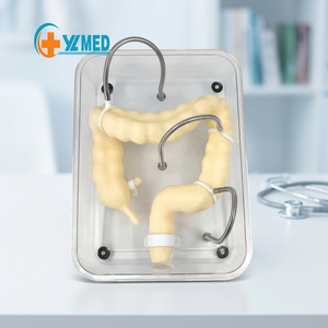 <span class=keywords><strong>Endoscopia</strong></span> Intestinal para Patología Gastrointestinal del Colon Humano, Órgano Digestivo, con Certificación CE/ISO - Product Image 1
