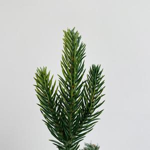 PE &amp; PVC Mixed Dense Artificial <strong>Christmas</strong> <strong>Tree</strong> <strong>Mini</strong> for Festival Decoration - Product Image 5