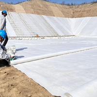Géomembrane composite HDPE géotextile haute résistance à la traction, anti-UV, écologique pour l'irrigation, les bassins et l'agriculture