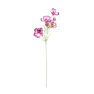 Fleur artificielle de cosmos unique, 30cm-100cm de haut, en soie, haute simulation, pour décoration intérieure et extérieure, idéale pour balcon - Product Image 5