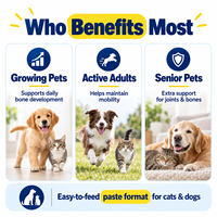 Pâte Articulaire Léchable pour Chiots, Chiens Adultes et Chats avec Carbonate de Calcium, Glucosamine, Chondroïtine, MSM, Collagène et Vitamine D3 60ml