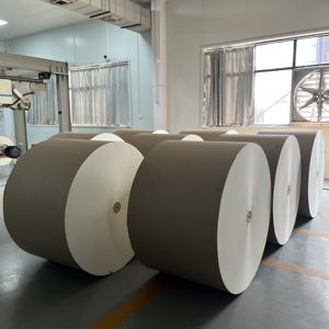 Rouleau de papier enduit de PE blanc et kraft de qualité alimentaire 150 à 350 GSM - Product Image 6