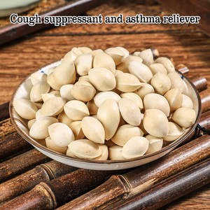 Herbes chinoises biologiques, graines de Ginkgo brutes séchées Bai <span class=keywords><strong>Guo</strong></span> en gros pour la santé et le bien-être naturels des reins - Product Image 3