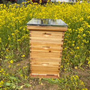 2024 Hot Bán một nông cạn và hai sâu có thể tháo rời Hive Starter Bộ dụng cụ luộc Sáp tổ ong cho ong tốt hơn nuôi - Product Image 2