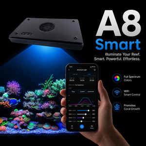 Lampe LED marine à spectre complet 240W pour aquarium de corail, lampe pour aquarium de poissons d'eau de mer, programmable via application WiFi - Product Image 3