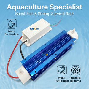 Générateur d'ozone à tube de quartz 3G 5G 10G pour unité d'alimentation en <span class=keywords><strong>eau</strong></span> circulante pour hôtels et gîtes, kit ozone - Product Image 4
