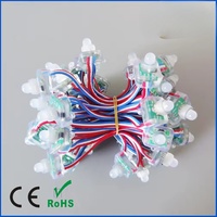 Point lumineux pixel adressable WS2811 5V/12V RGB couleur magique étanche IP68 50pcs/anneau pour la lumière de module LED de Noël