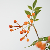 Fruits artificiels de qualité supérieure, baies de Chine, lilas de Cap, plantes pour arrangements floraux de mariage, décoration intérieure pour la maison, l'hôtel, le restaurant