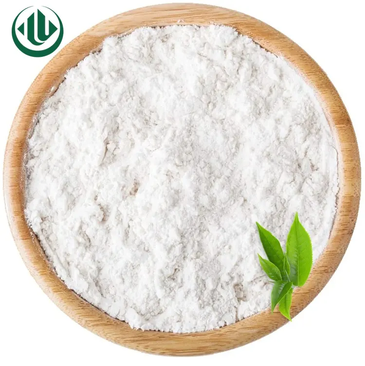 Wholesale Price Drum Insent Green Tee Tablet Epigallocatechin Gallate 98% EGCG