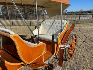 Carrito <span class=keywords><strong>de</strong></span> <span class=keywords><strong>caballos</strong></span> <span class=keywords><strong>de</strong></span> pony <span class=keywords><strong>de</strong></span> 4 ruedas barato a la <span class=keywords><strong>venta</strong></span> Agregar un carro con luz Led Victoria Carruaje <span class=keywords><strong>de</strong></span> <span class=keywords><strong>caballos</strong></span> <span class=keywords><strong>de</strong></span> Navidad al aire libre - Product Image 5