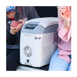 Taşınabilir dondurucu araba buzdolabı 17L 12V 24V soğutucu araba buzdolabı kompresörü Mini buzdolabı