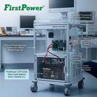 Batería de Ciclo Profundo AGM de 12V 33Ah Libre de Mantenimiento con 500 Ciclos de Vida Útil para Herramientas Eléctricas y Juguetes - FirstPower LFP1233D