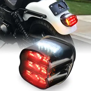 OVOVS Motorcycle Smoked Lens LED Tail Light For Harley Road King Classic FLHRC/I Sportster Custom XL1200C