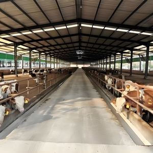 <strong>Expandable</strong> Cattle Barn System 48x24m, Modular Panels, Future Extension Ready, Low Maintenance - Product Image 5