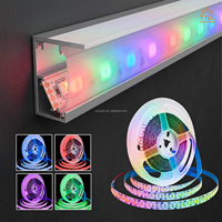 Bande lumineuse LED RVB personnalisée certifiée CB, application/télécommande, température de couleur 2700K-6000K, IRC 90, longueur 50m, efficacité 110lm/W