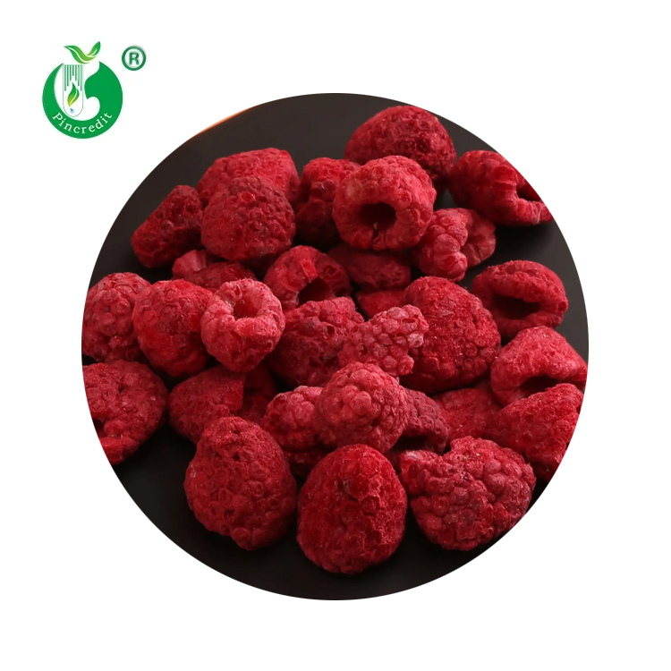 Großhandel 100% reine Bio gefrier getrocknete Frucht Himbeeren