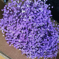 Buket Bunga Gypsophila Kering, Dekorasi Bunga Baby's Breath Awet, Promo Hot Sale