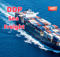 Agente de Carga Profesional de China a Canadá, Transporte Marítimo Puerta a Puerta con LCL+Express, 30-45 Días de Tránsito y Seguro